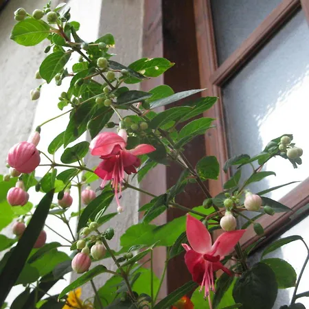 Casa Grande Apartment Pragelato